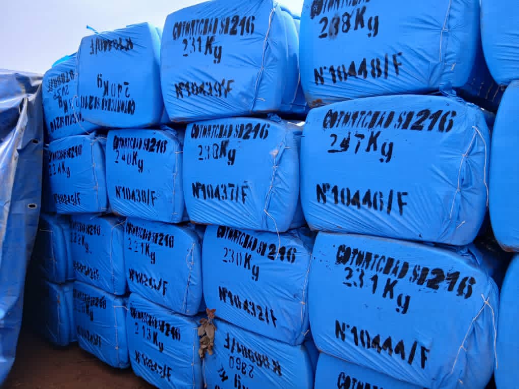 Cotton bales prepared for dispatch